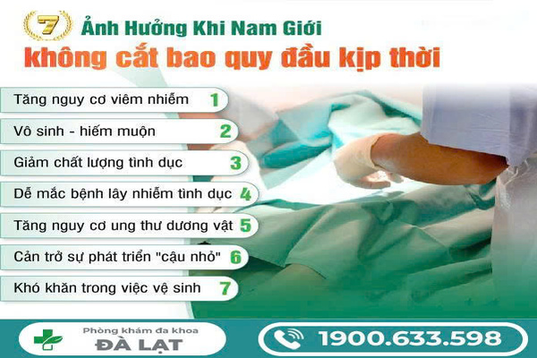 Hình ảnh minh họa